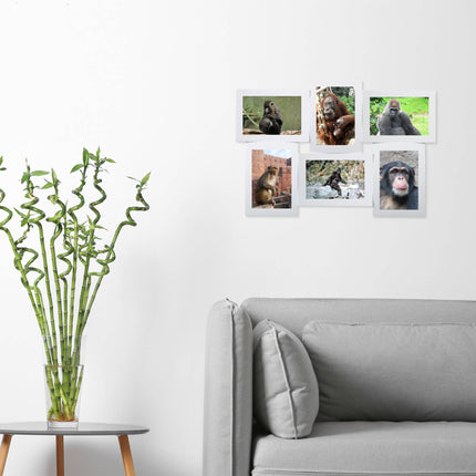 Cadre photo pour plusieurs photos