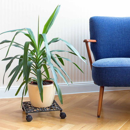 Rouleau à plantes en fonte