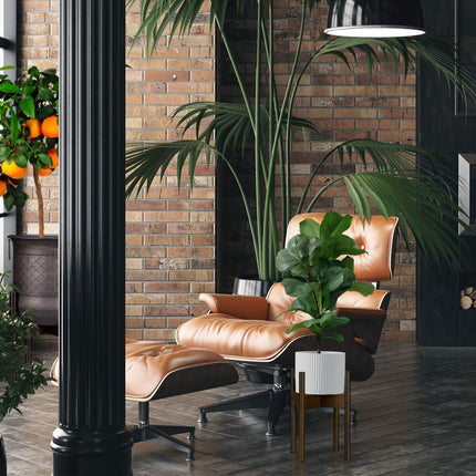 Support pour plantes en lot de 3