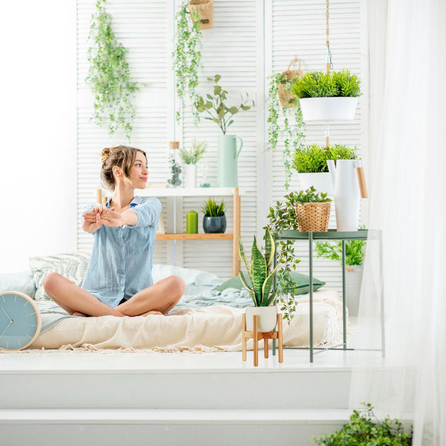 Ensemble de 2 supports pour plantes