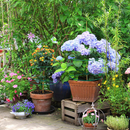 Support pour plantes 39 cm lot de 6
