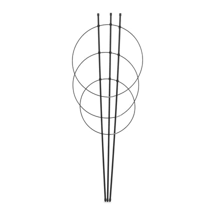 Pflanzenstütze 76 cm schwarz, 6er Set