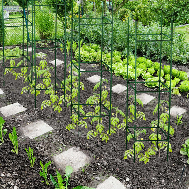 Ensemble de tuteurs pour plantes de 4 120 cm