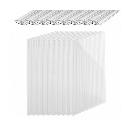 Panneaux de serre en polycarbonate, paquet de 10, 121 x 60,5 cm