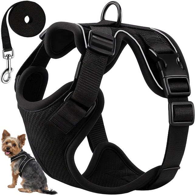 Harnais sans pression pour chien et chat avec laisse, taille S