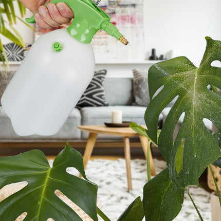 Pulvérisateur à pression 2 litres vert