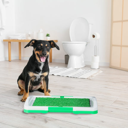 Bac à litière pour chiot avec herbe - Toilettes pour chien faciles à nettoyer