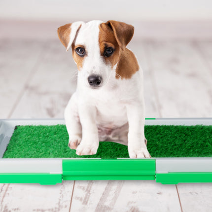 Bac à litière pour chiot avec herbe - Toilettes pour chien faciles à nettoyer