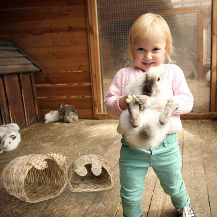 Maison pour lapins, lot de 2 avec jouets