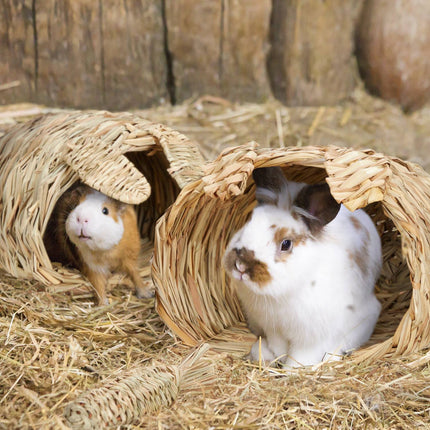 Maison pour lapins, lot de 2 avec jouets