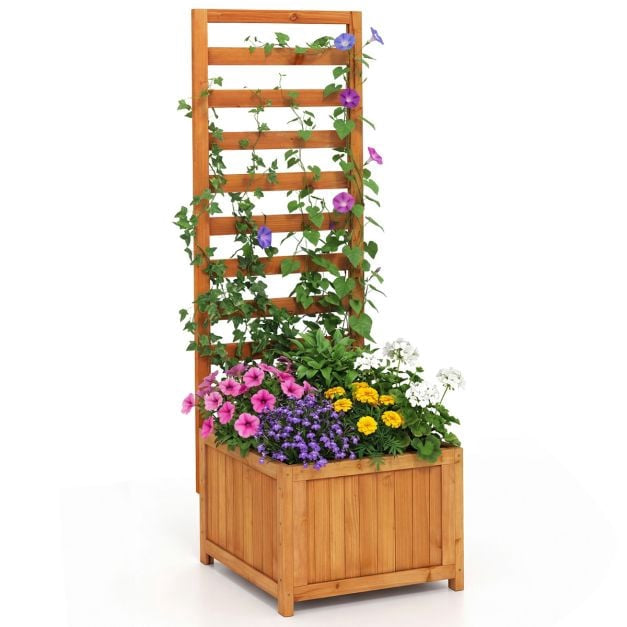 Jardinière surélevée avec treillis, en bois d'épicéa