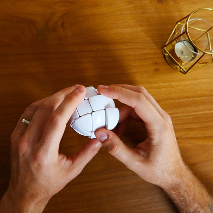 Recent Toys Logikspiel Morph’S Egg