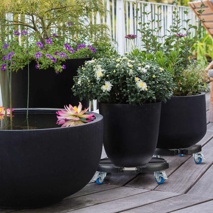 Rouleau rétractable pour plantes