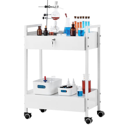 Rolling Lab Cart, 2-Tier Steel, 2 Locking Drawers
