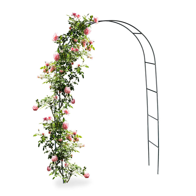 Arche à rosiers en métal 240 cm