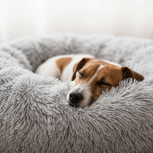 Coussin rond en peluche pour chien, 60 cm – Gris clair