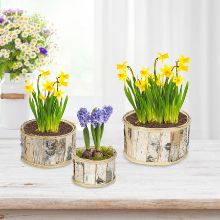 Pot de fleurs rond en bouleau Lot de 3