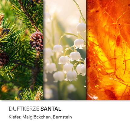 Duftkerze mit zwei Baumwolldochten zur Entspannung