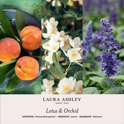 Coffret cadeau d'huiles parfumées - Lotus, Santal, Ylang-ylang