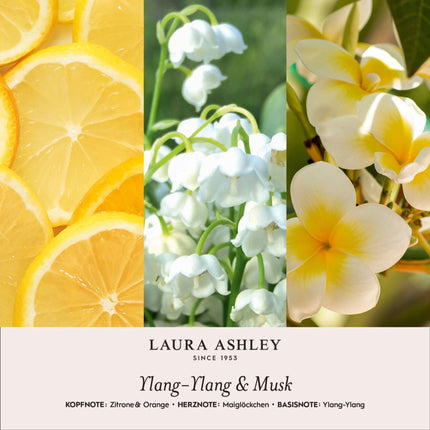 Coffret cadeau d'huiles parfumées - Lotus, Santal, Ylang-ylang