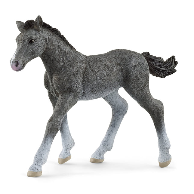 Schleich Horse Club Trakehner Poulain