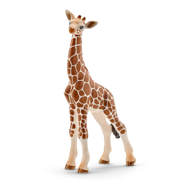Schleich Wild Life Giraffenkalb