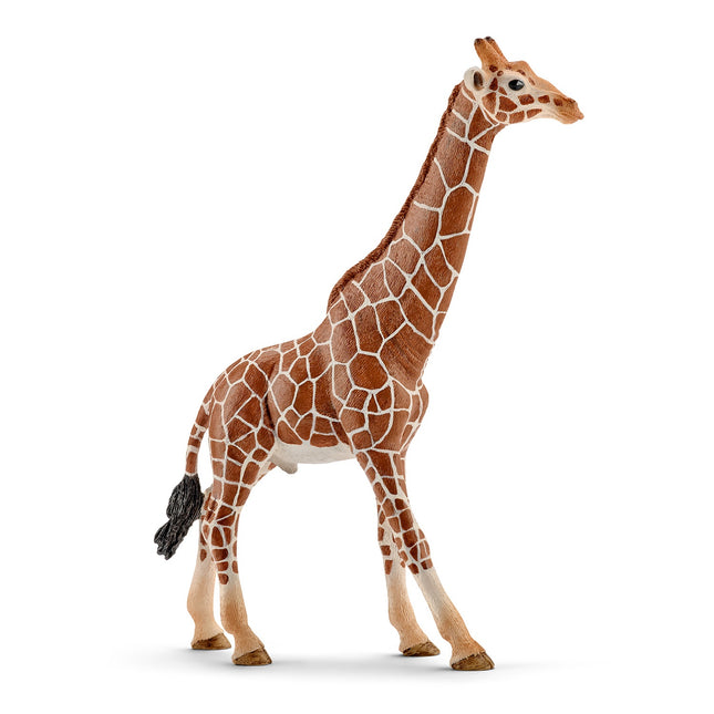Schleich Wild Life Girafe, mâle