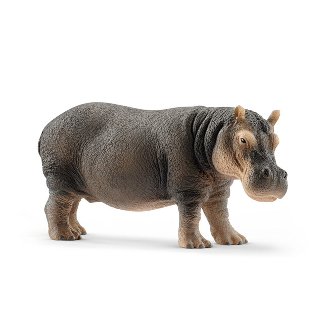 Schleich Hippopotame de la vie sauvage
