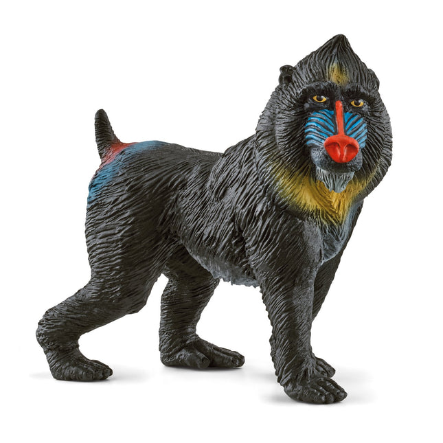 Mandrill de la vie sauvage Schleich