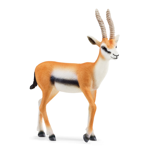 Schleich Wild Life Thomson-Gazelle