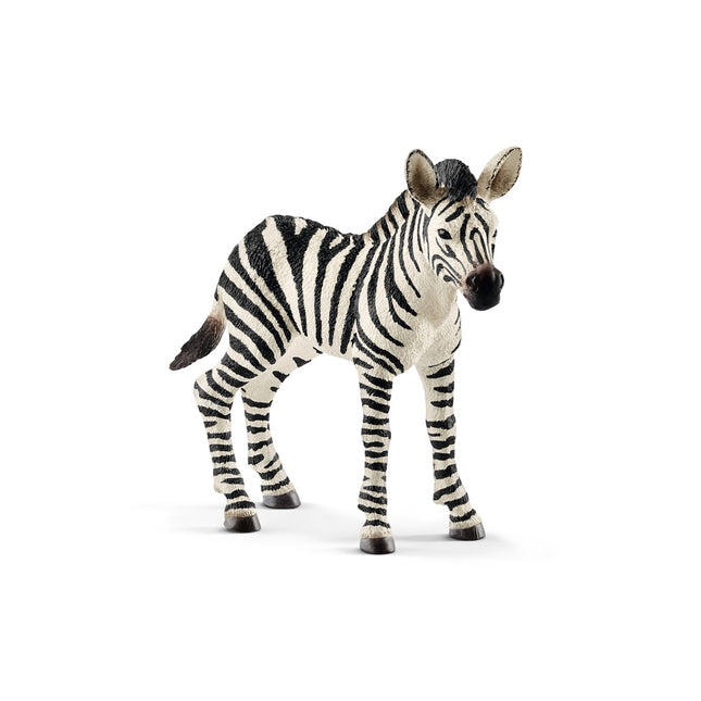 Schleich Wild Life Zebrafüllen