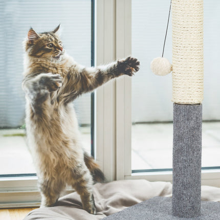 Kratzbrett für Katzen