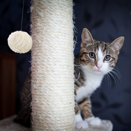 Kratzbrett für Katzen