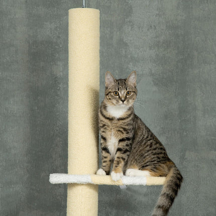 Verstellbarer Katzenkratzbaum mit Spielball, 220-260 cm