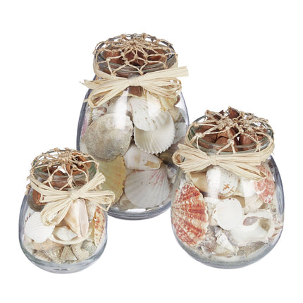 Lot de 3 pots à coquillages
