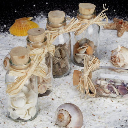 Coquillages dans des bouteilles en verre - Décoration d'intérieur côtière