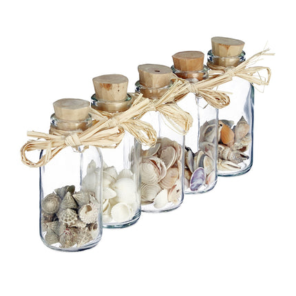 Coquillages dans des bouteilles en verre - Décoration d'intérieur côtière