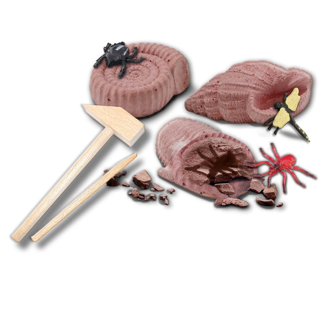 Ses Craft Set Excavation de fossiles
