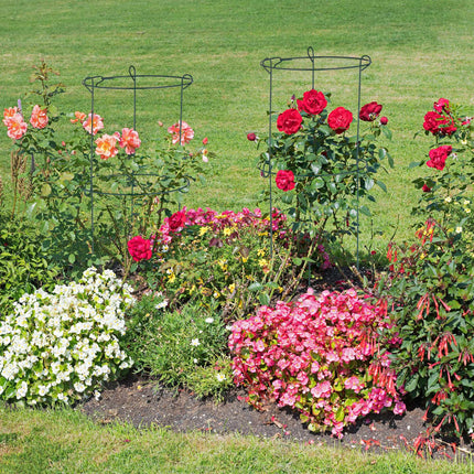 Lot de 4 anneaux de croissance pour supports de plantes
