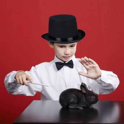 Ensemble de 4 chapeaux haut de forme