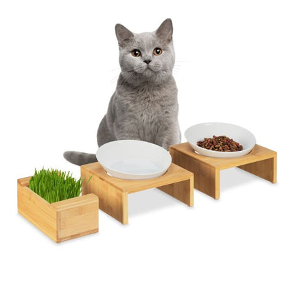 Ensemble avec gamelle pour chat et gamelle pour herbe pour chat