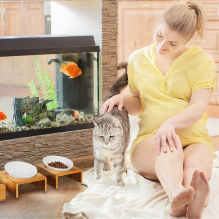 Ensemble avec gamelle pour chat et gamelle pour herbe pour chat