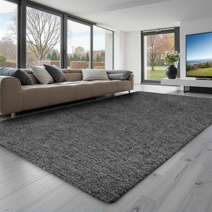 Shag Area Rug 5x8 ft, Plush Non-Slip, Dark Gray