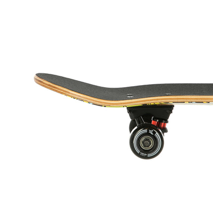 Skateboard, 2 roues, design coloré