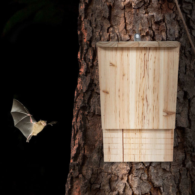 Niche à chauves-souris inclinée