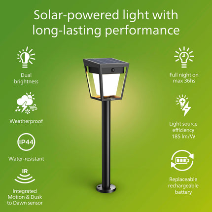 Solar-LED-Gartenleuchte, zwei Helligkeitsstufen, Schwarz, IP44