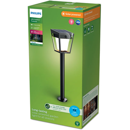 Solar-LED-Gartenleuchte, zwei Helligkeitsstufen, Schwarz, IP44