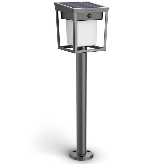 Solar LED Garden Path Light, Dual Brightness, Black