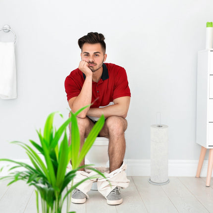 Lot de 2 porte-rouleaux de rechange pour salle de bain