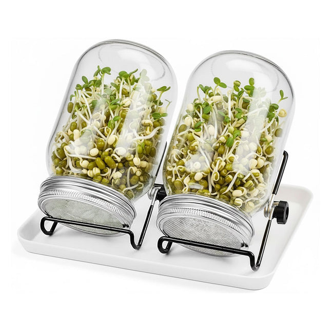 Kit de germination, 2 bocaux avec support et plateau